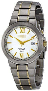 Wholesale Silver Watch Dial SKA485